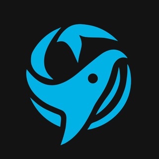 Аватар канала «Что говорят киты? 🐋»