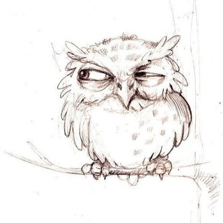 Аватар канала «Белый Филин»