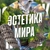 Аватар канала «Эстетика Мира 🍃»