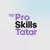 Аватар канала «ProSkills в Татарстане»