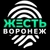 Аватар канала «Жесть Воронеж»